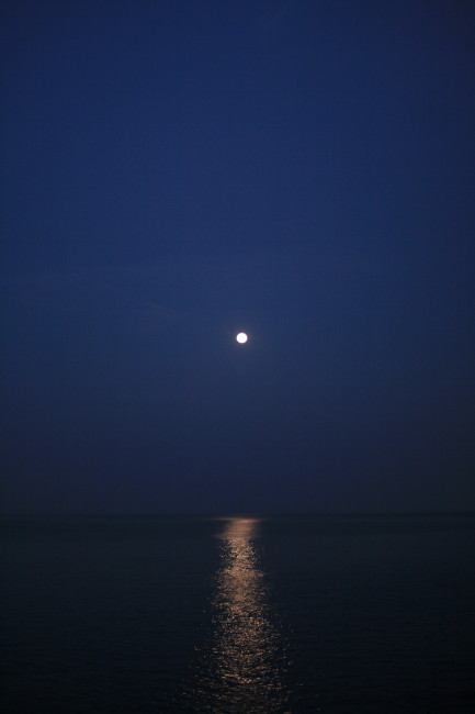 月の光に照らされた海